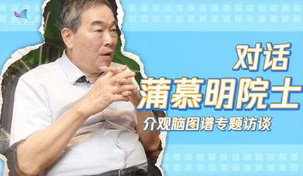 繪制大腦地圖：靈長類腦圖譜的挑戰與探索